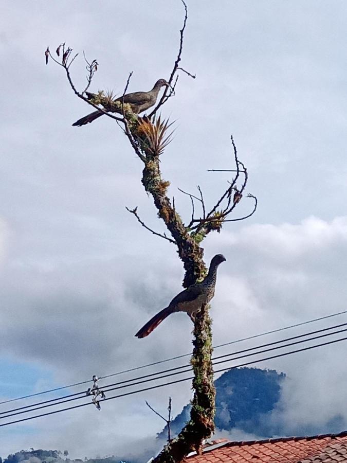 Bird House - Apartament คาร์ดิน ภายนอก รูปภาพ