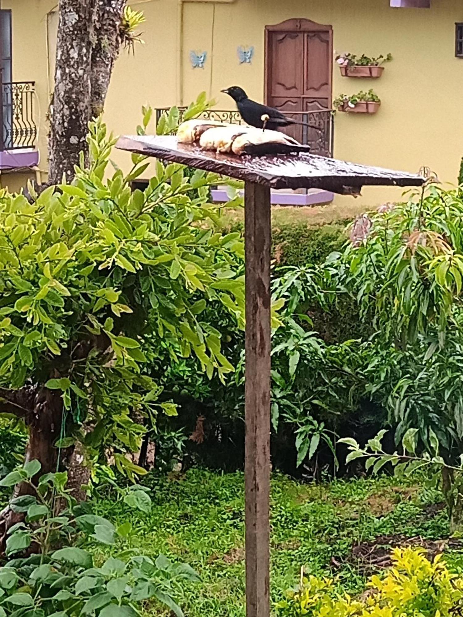 Bird House - Apartament คาร์ดิน ภายนอก รูปภาพ