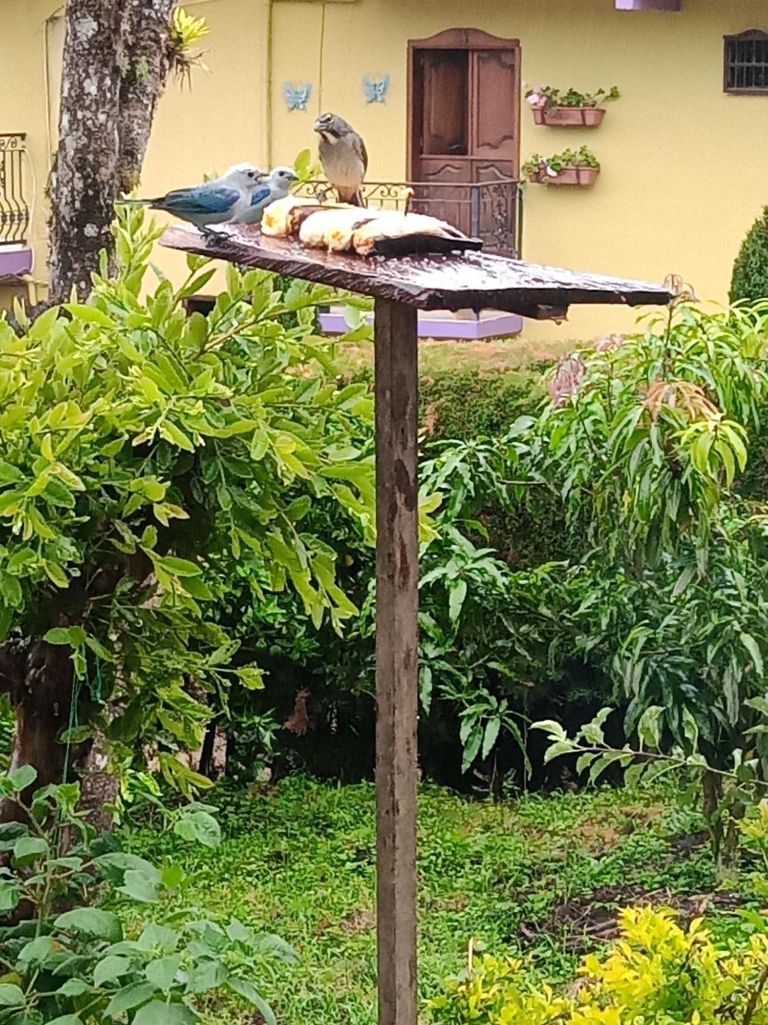 Bird House - Apartament คาร์ดิน ภายนอก รูปภาพ