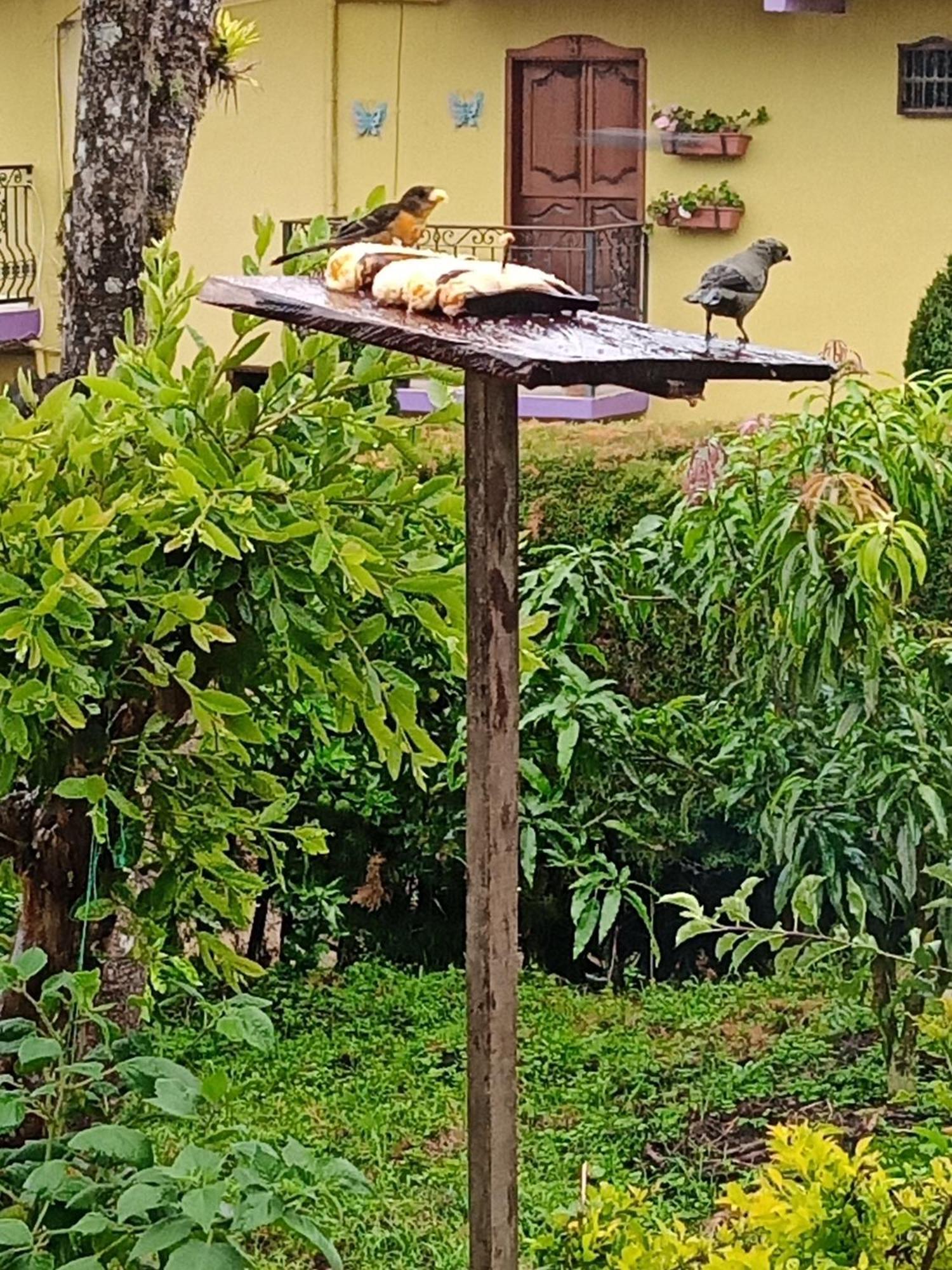 Bird House - Apartament คาร์ดิน ภายนอก รูปภาพ