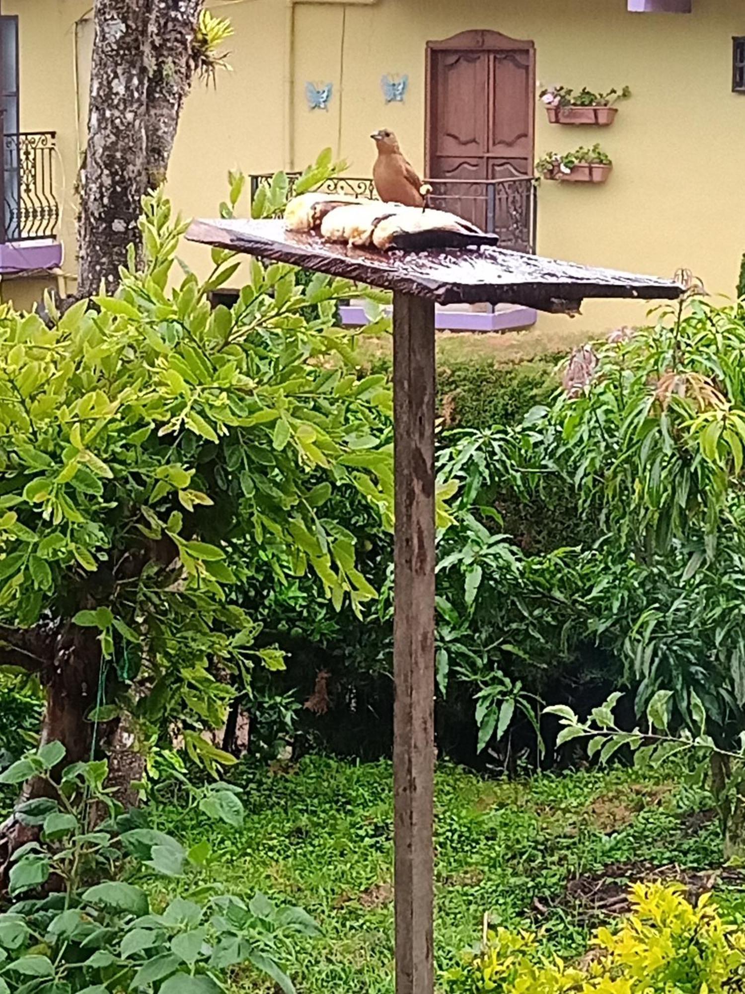 Bird House - Apartament คาร์ดิน ภายนอก รูปภาพ